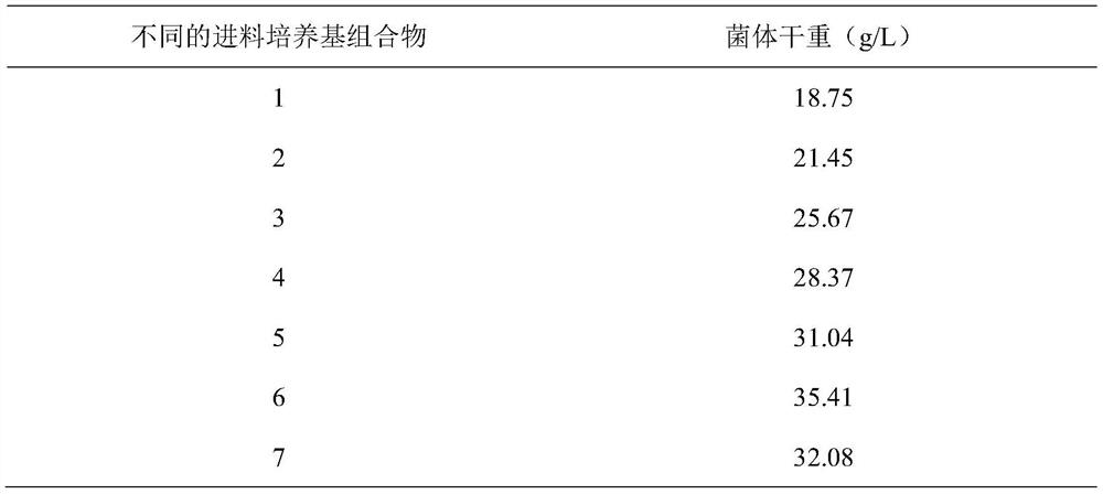 Bacillus cereus high-density fermentation method and application