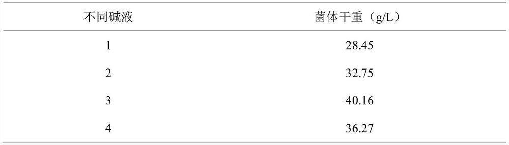 Bacillus cereus high-density fermentation method and application