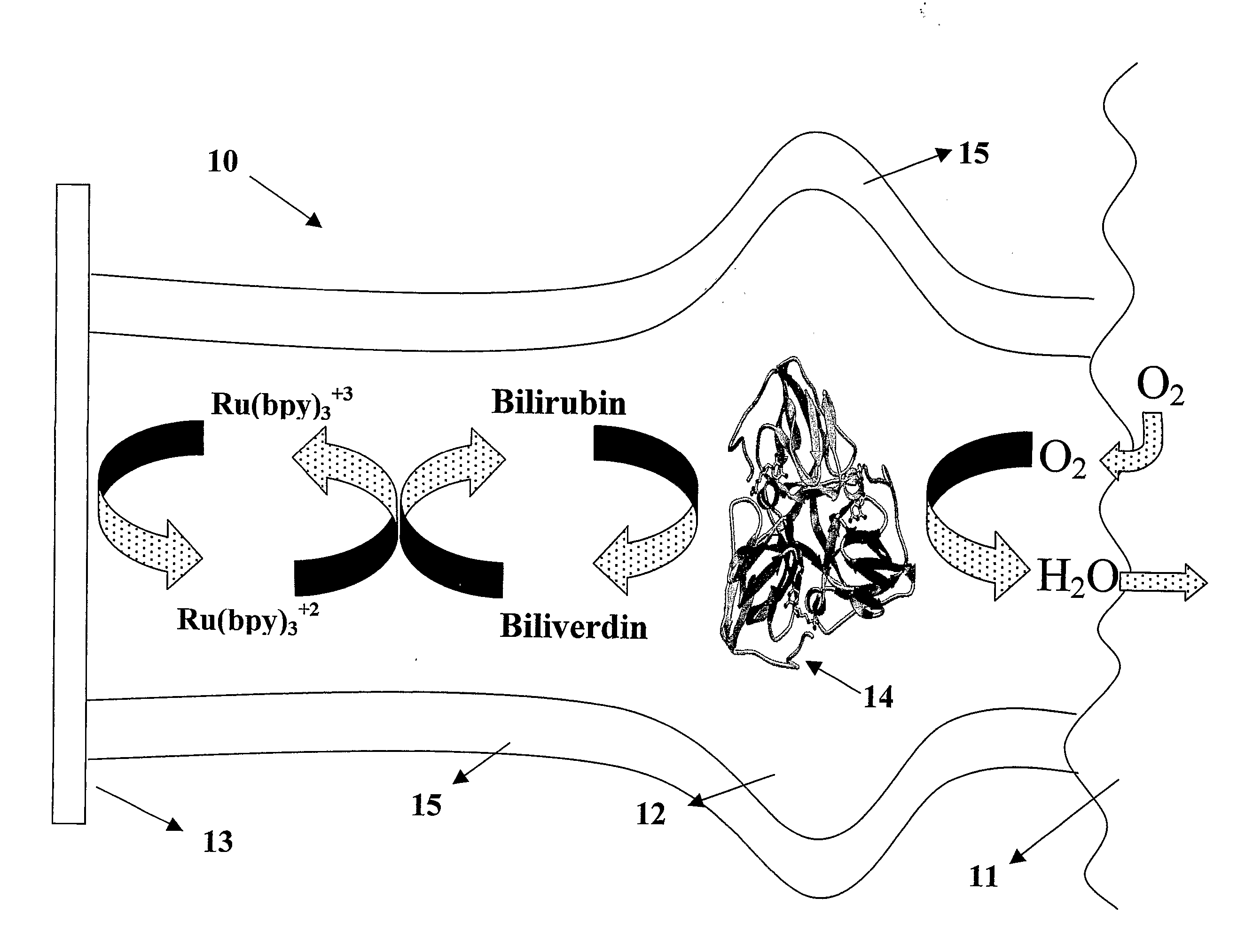 Microfluidic Biofuel Cell