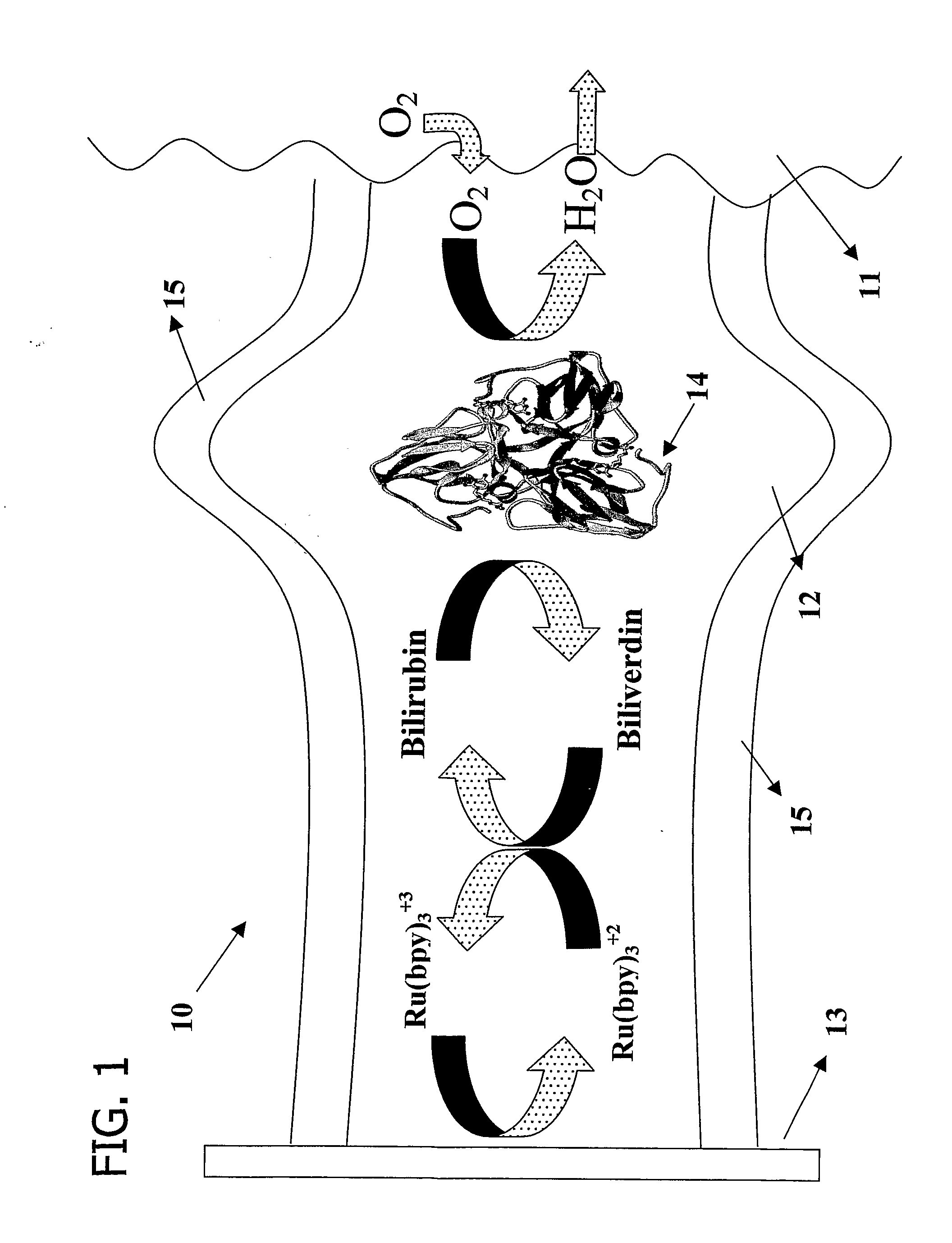 Microfluidic Biofuel Cell