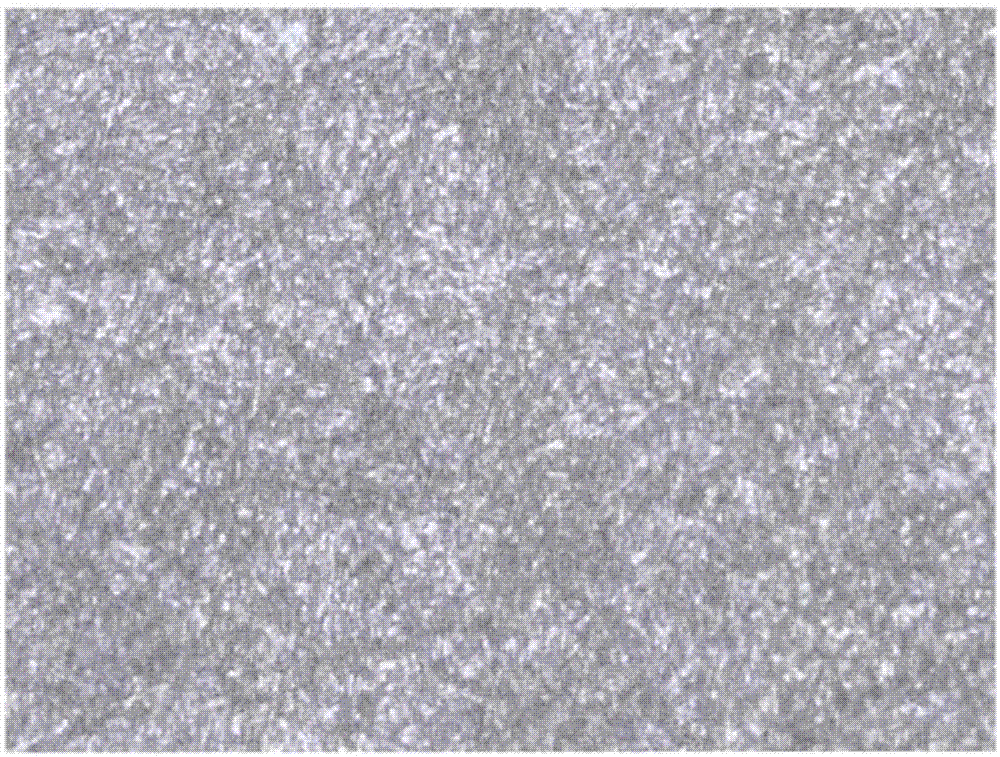 Heat treatment method for automobile SCM435 steel high-strength fastener