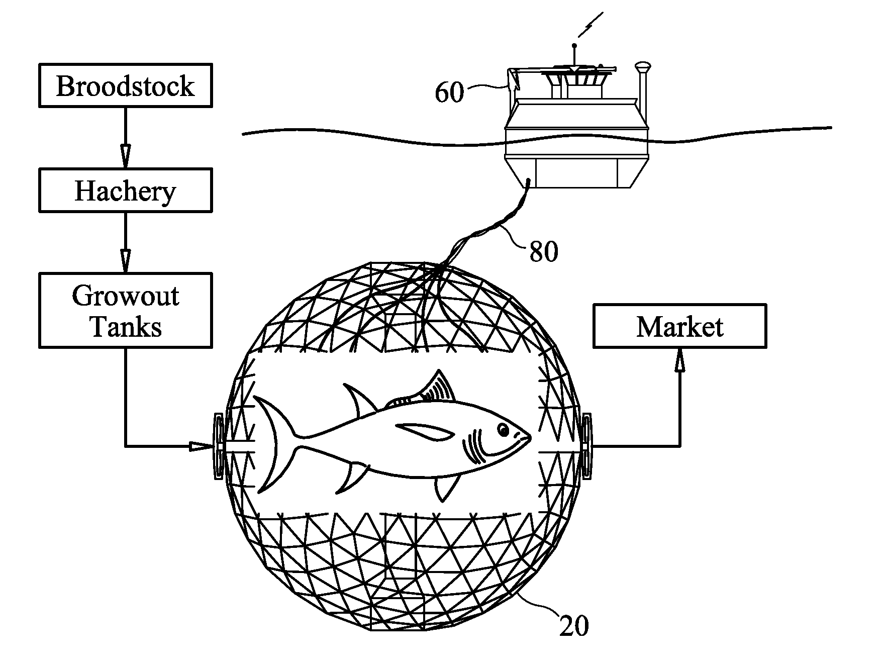 Automated open ocean fish farm structures and systems for open ocean fish farming