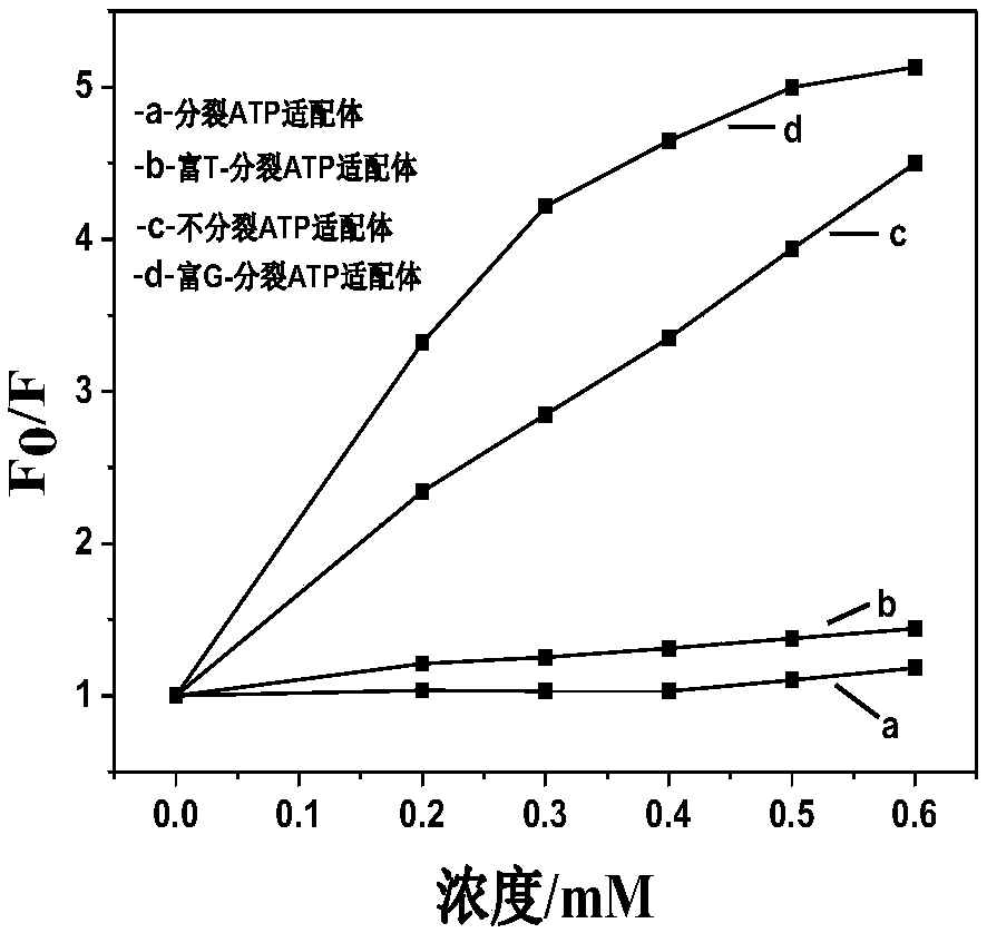 Cracking aptamer sensor for ATP (Adenosine Triphosphate) detection and application thereof