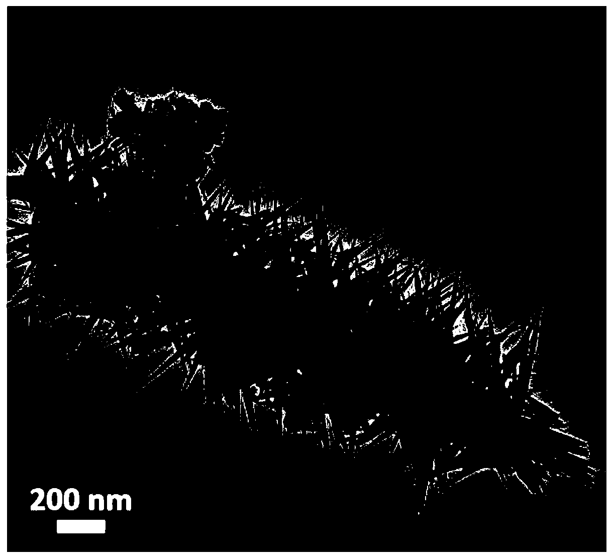 Pine needle-shaped nickel-cobalt-copper basic carbonate nano composite material as well as preparation method and application thereof