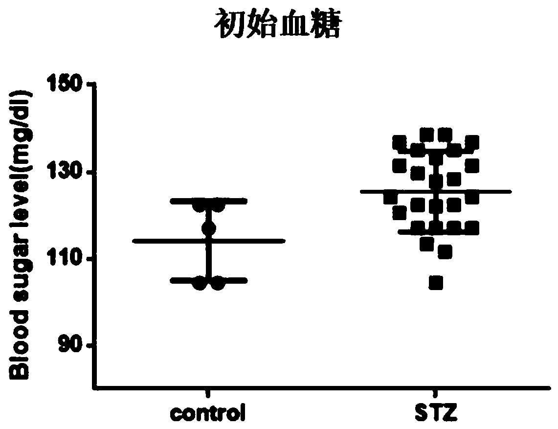 Application of geranyl flavone A in preparation of medicines for promoting wound healing