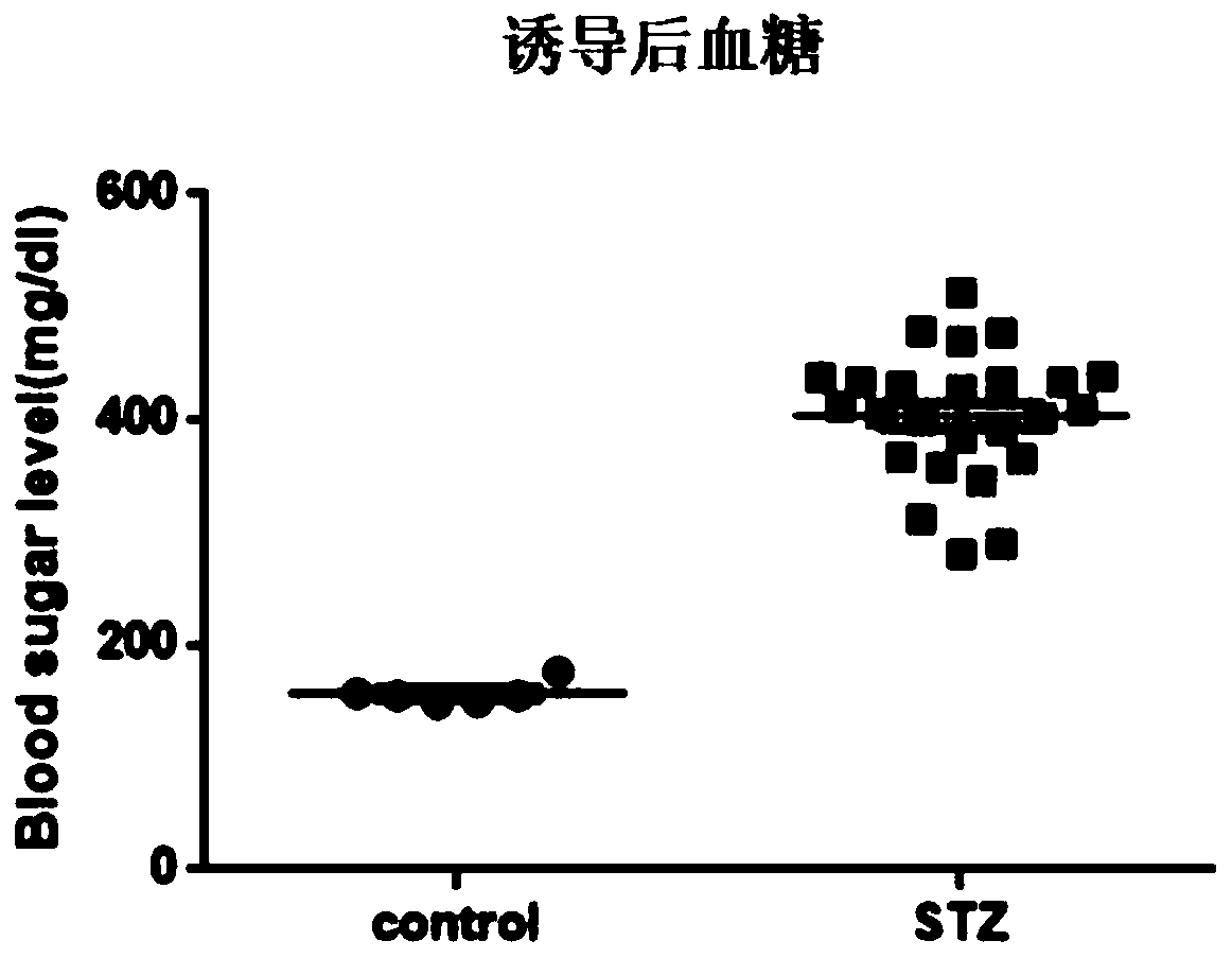 Application of geranyl flavone A in preparation of medicines for promoting wound healing