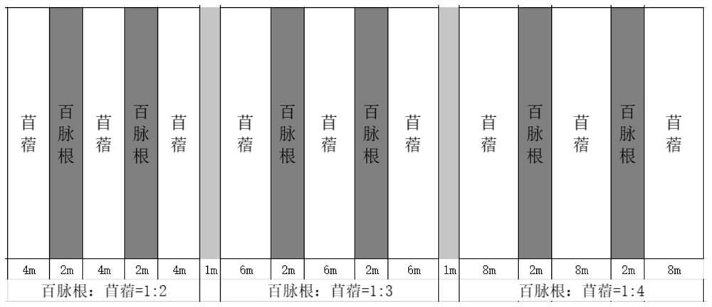 Application of lotus corniculatus in aspect of insect ecological regulation and control and insect regulation and control method of lotus corniculatus