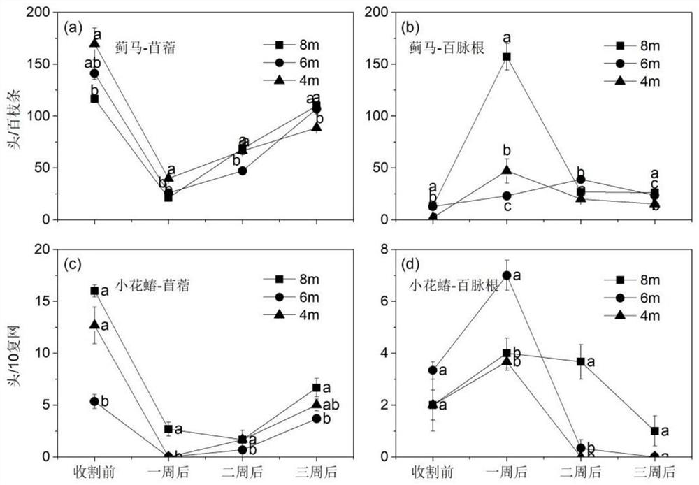 Application of lotus corniculatus in aspect of insect ecological regulation and control and insect regulation and control method of lotus corniculatus