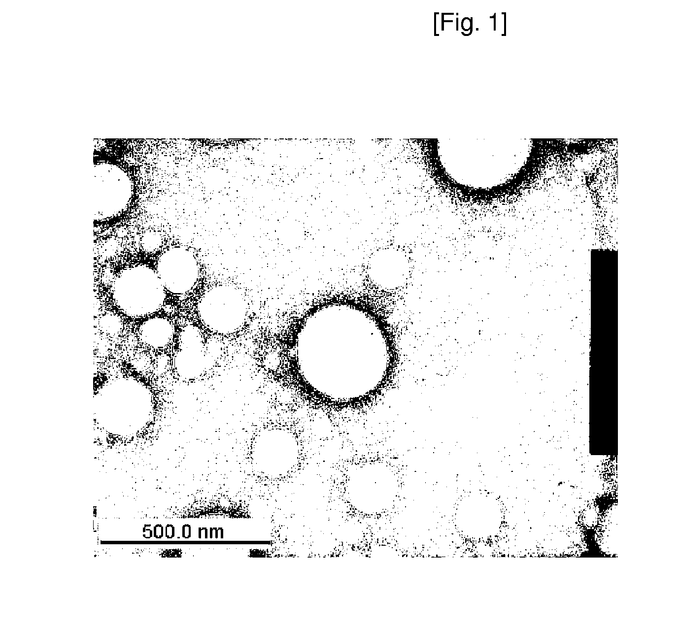 Liposome And Method Of Preparing The Same