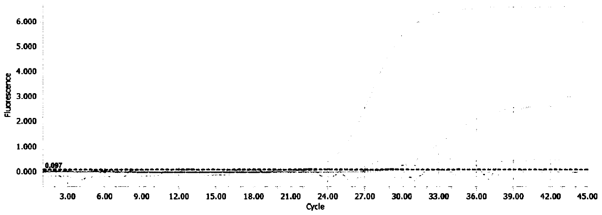 System for detecting and distinguishing proteus mirabilis, proteus vulgaris and proteus pennerei and method thereof