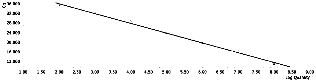 System for detecting and distinguishing proteus mirabilis, proteus vulgaris and proteus pennerei and method thereof