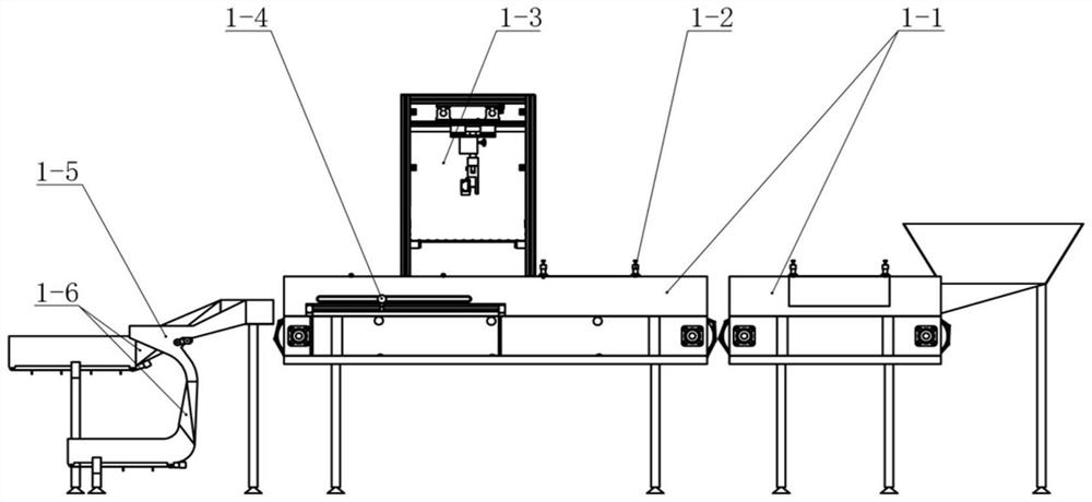 Device and method for fish singularizing, head and tail orientation and belly and back orientation