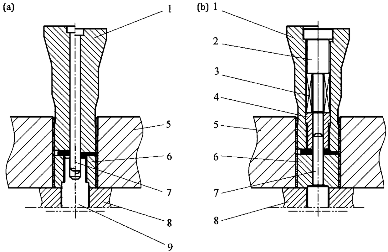 Double gear forging process and die based on sheet metal volume forming