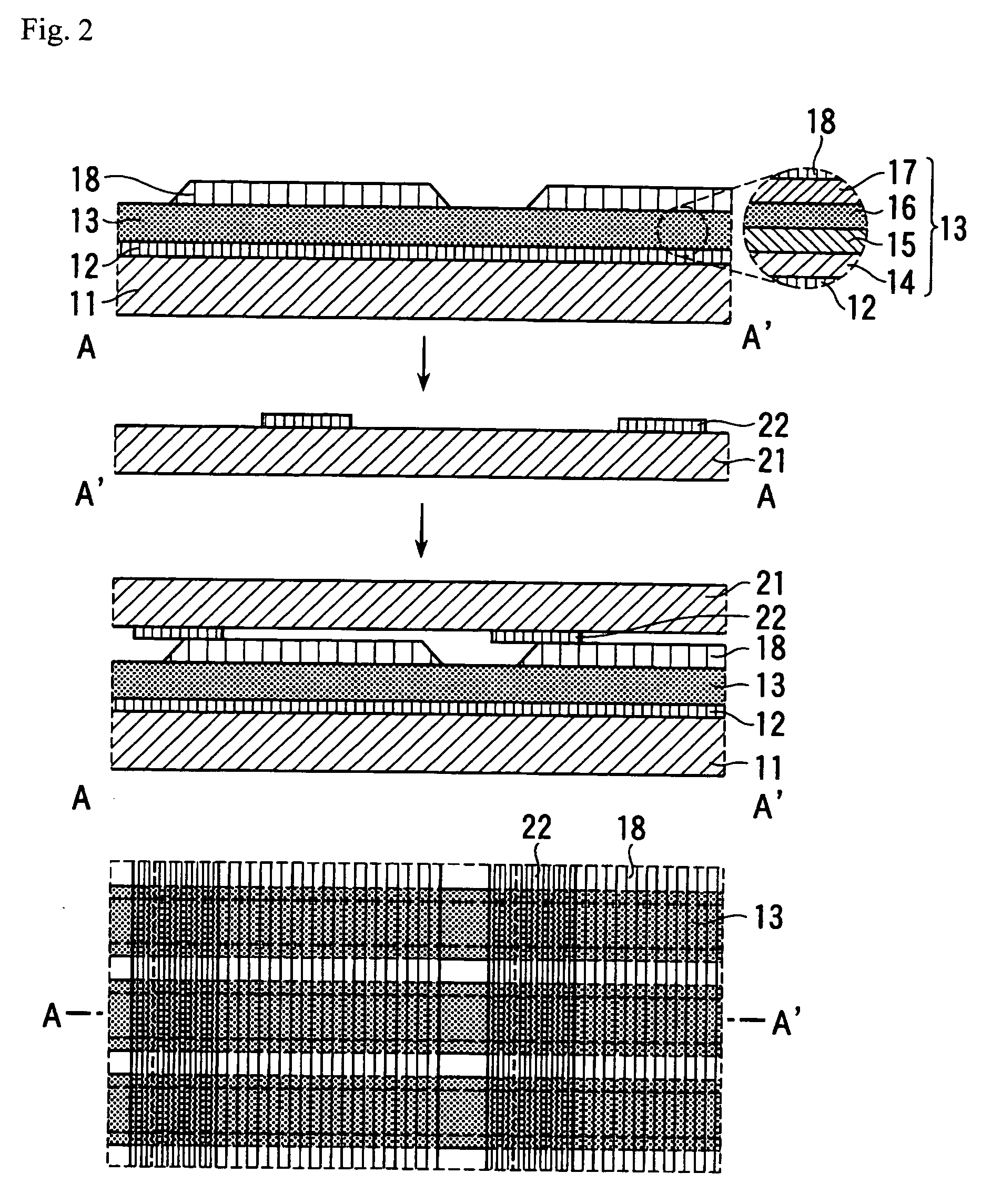 Organic electroluminescence display apparatus