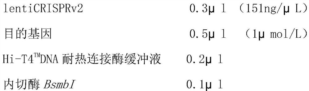 Construction method of high-throughput CRISPR gene editing tool vector