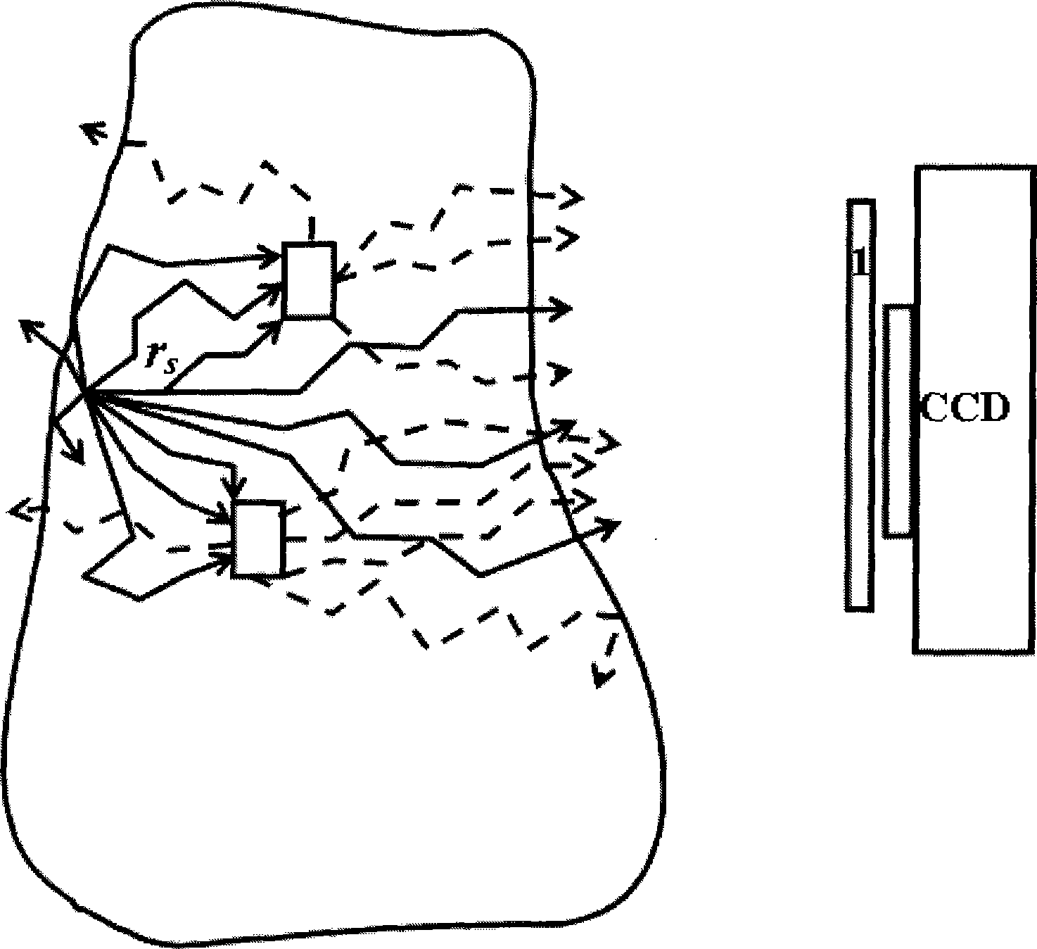 Fluorescent molecule tomography rebuilding method based on linear relationship