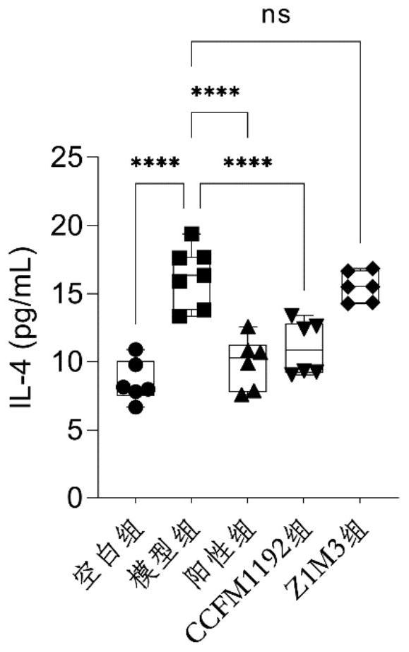 Bifidobacterium longum subsp. Infantis CCFM1192 strain, leavening agent and preparation method and application thereof