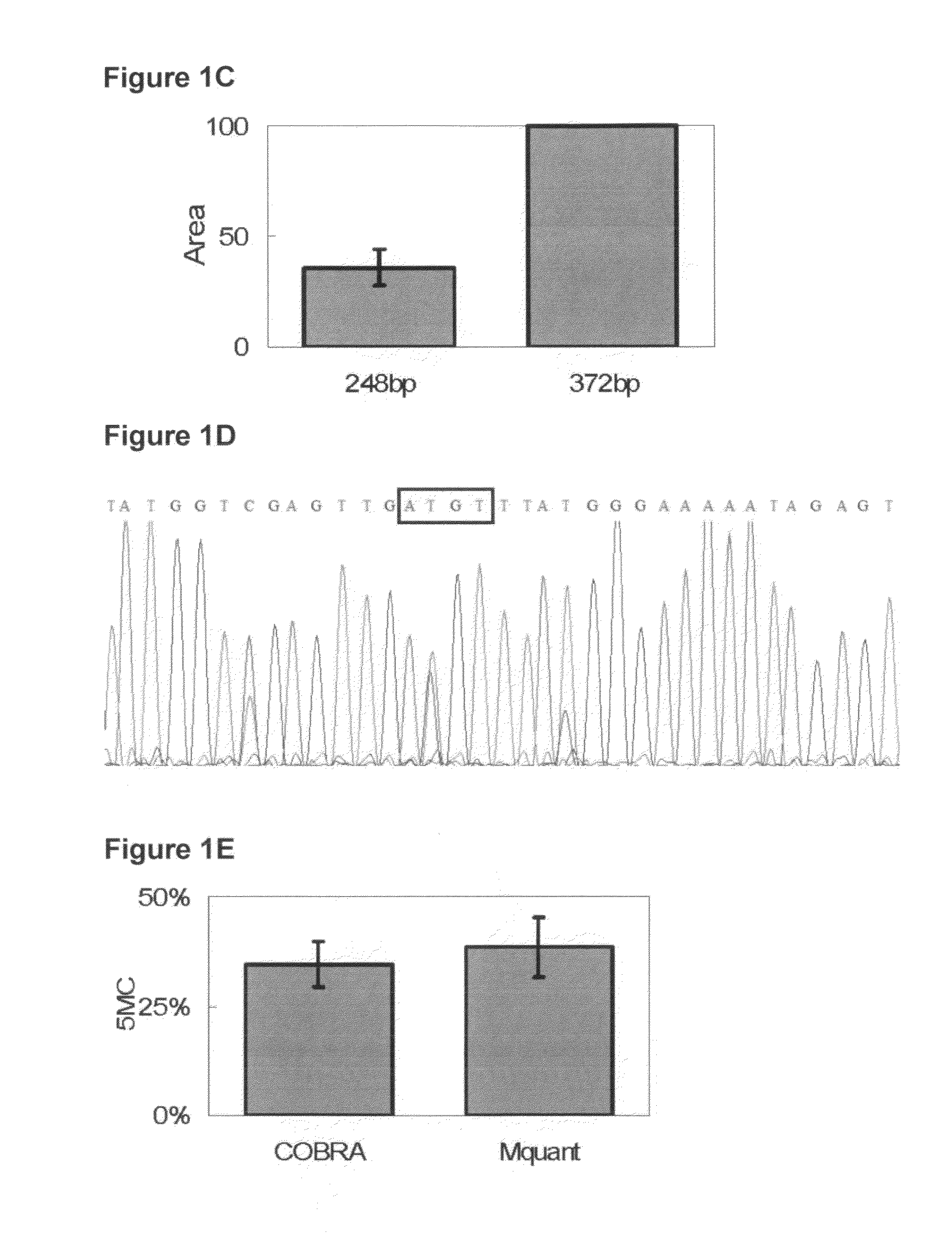 Simple algorithm for quantifying polymorphisms in electropherograms