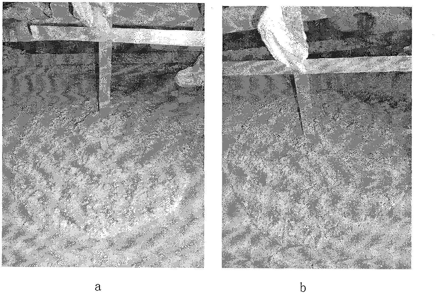 Method for preparing biological water reducing agent via microwave radiation method