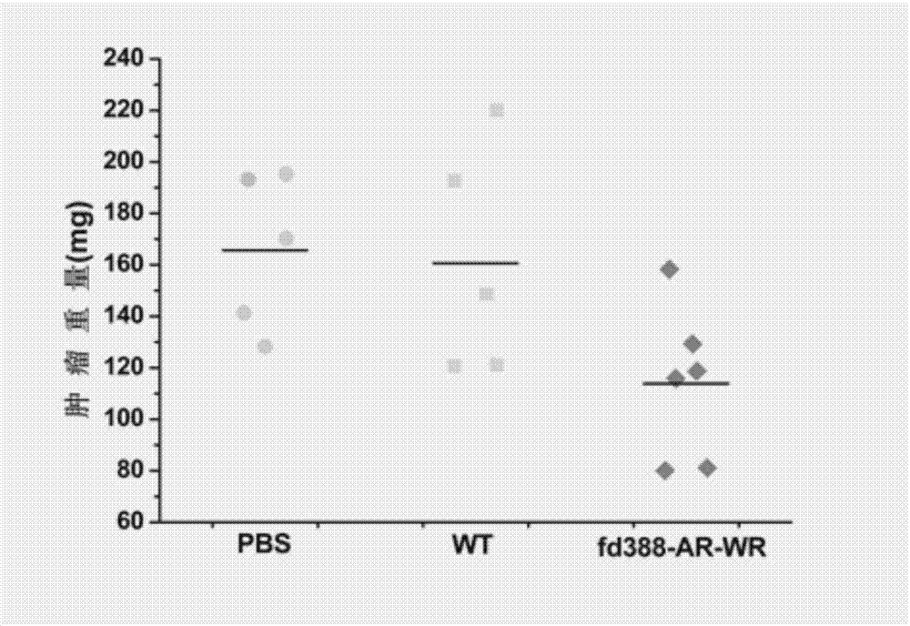 Bifunctional phage and uses thereof