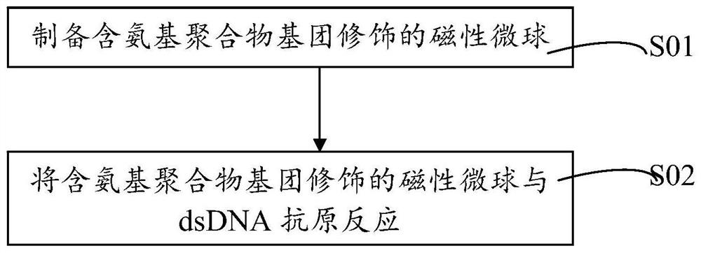 dsDNA immunomagnetic microsphere system, its preparation method and application, and preservation solution