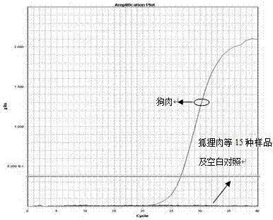 Primers, probe, kit and method for accurate quantitative digital PCR detection of dog-derived component