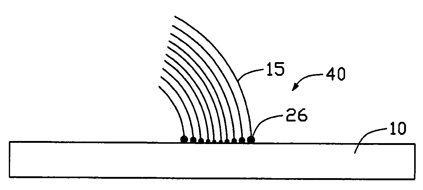 Carbon annotate-based device and method for making carbon nanotube based device