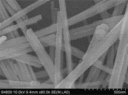 One-dimensional nanometer photocatalyst as well as preparation method and application thereof