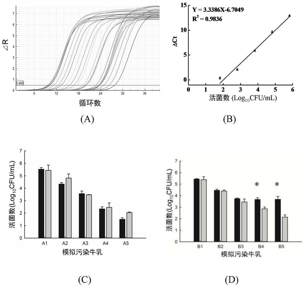 Rapid quantitative detection method capable of specifically identifying survival cells of enterobacter sakazakii and primer thereof