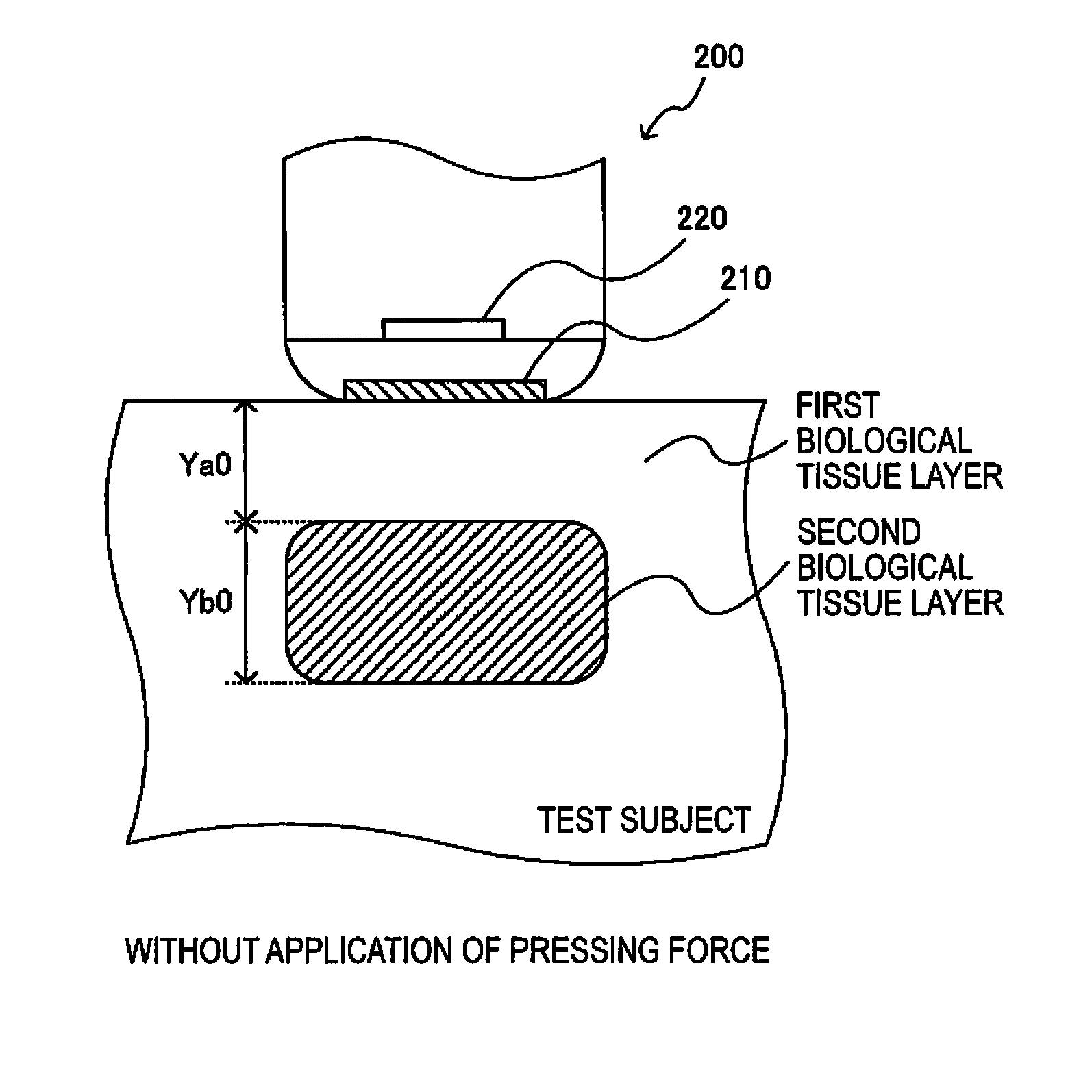 Ultrasonic measuring device, ultrasonic image device, and ultrasonic measuring method