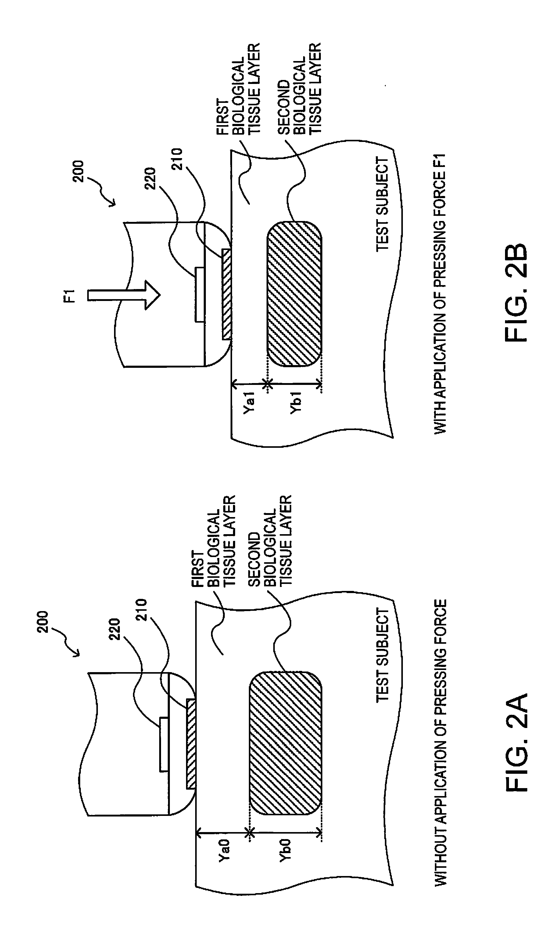 Ultrasonic measuring device, ultrasonic image device, and ultrasonic measuring method