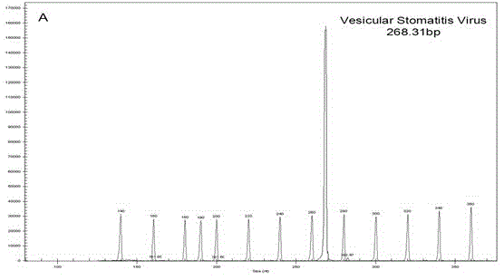 Primers, kit and preparation method for detecting vesicular stomatitis virus