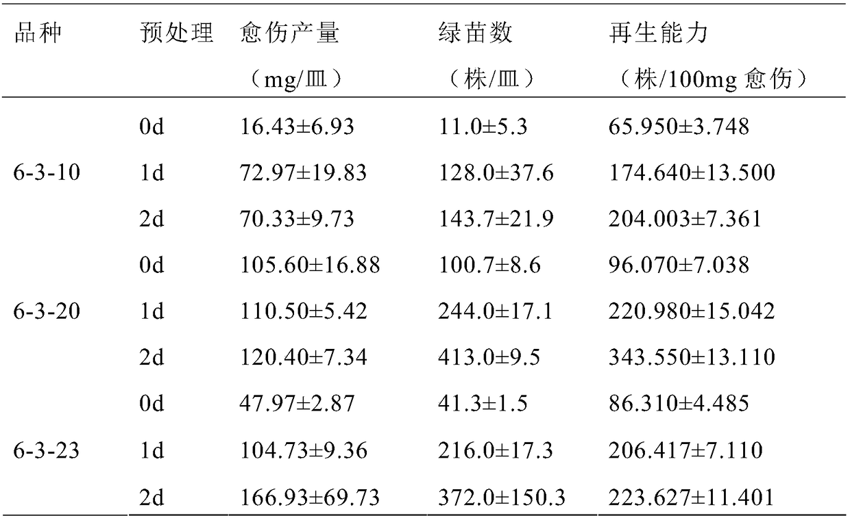 Cultivation method for barley microspores