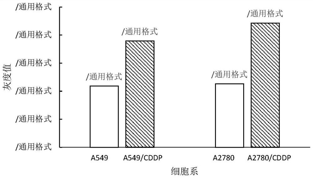 An antitumor compound capable of overcoming cisplatin resistance and its preparation and application