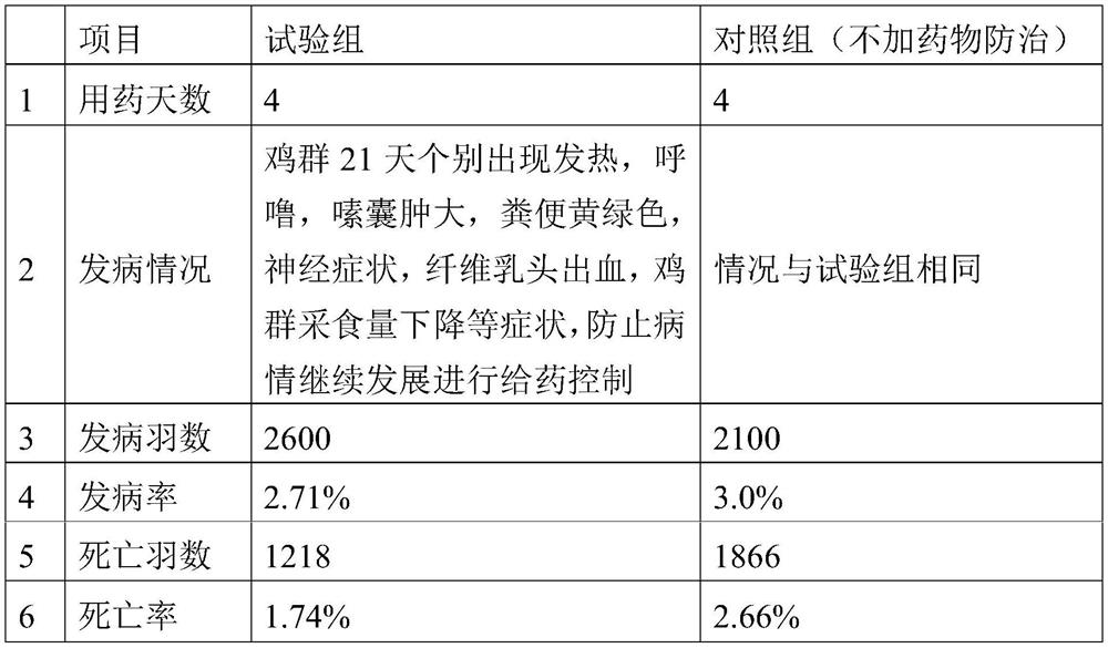 Traditional Chinese medicine composition for treating common infectious disease infection of poultry and preparation method and application thereof