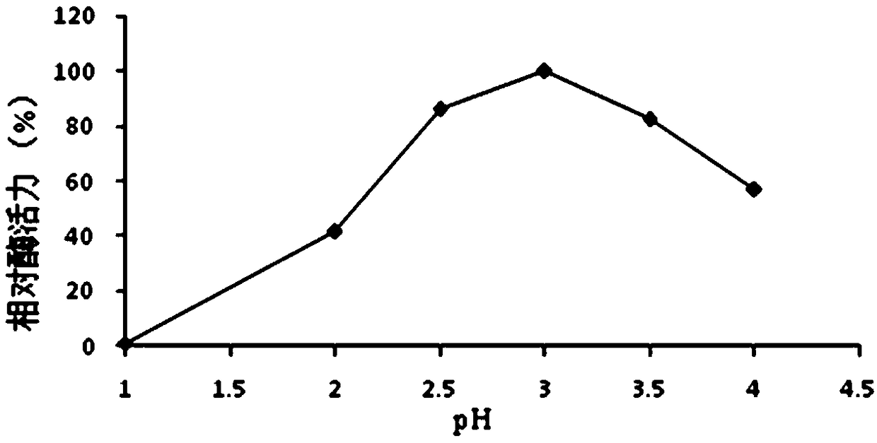 Acid protease Bs2688 mutant K203E with improved thermal stability and gene and application thereof