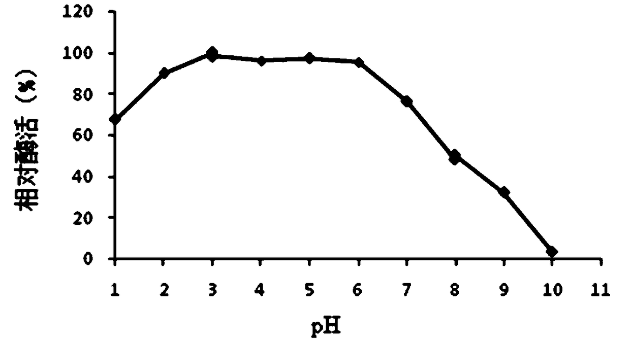 Acid protease Bs2688 mutant K203E with improved thermal stability and gene and application thereof