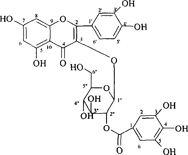 Cotton leaf ethanol extract, its preparation method and use