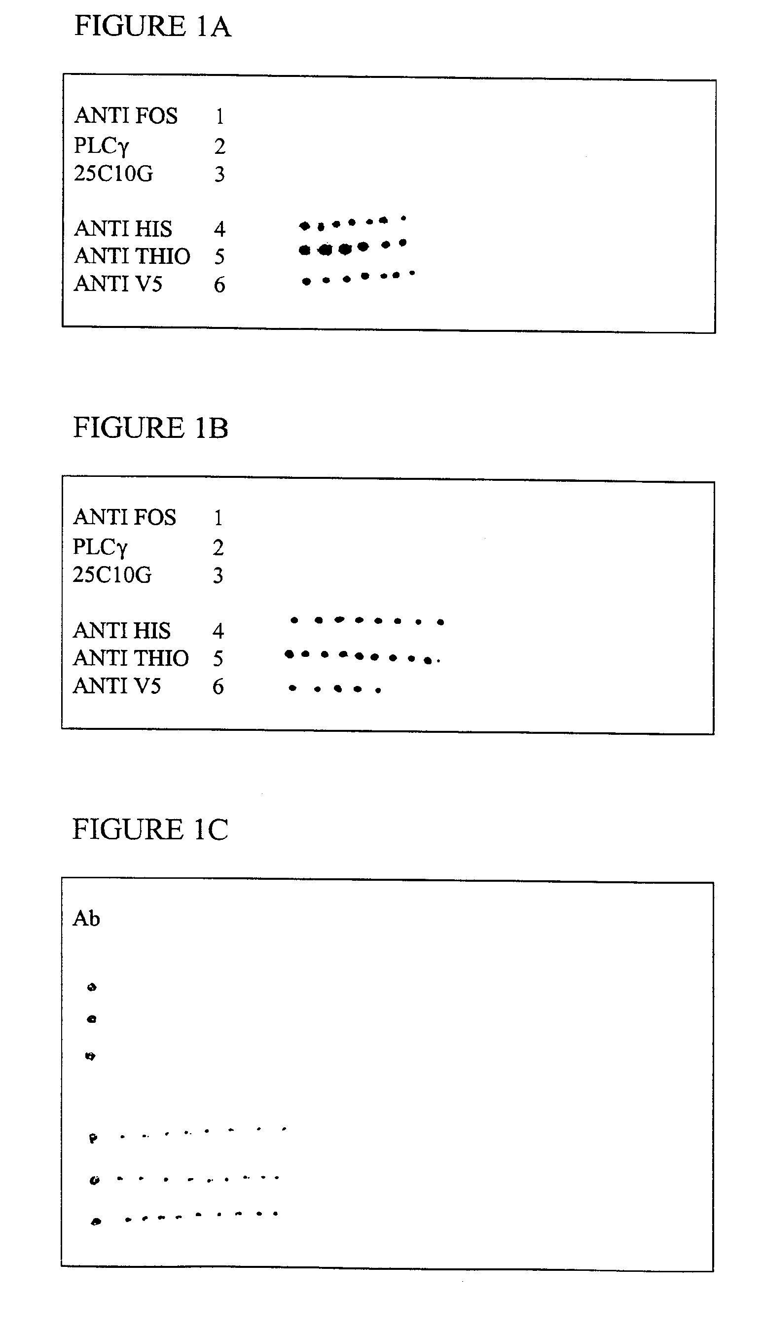 Microarrays and uses therefor