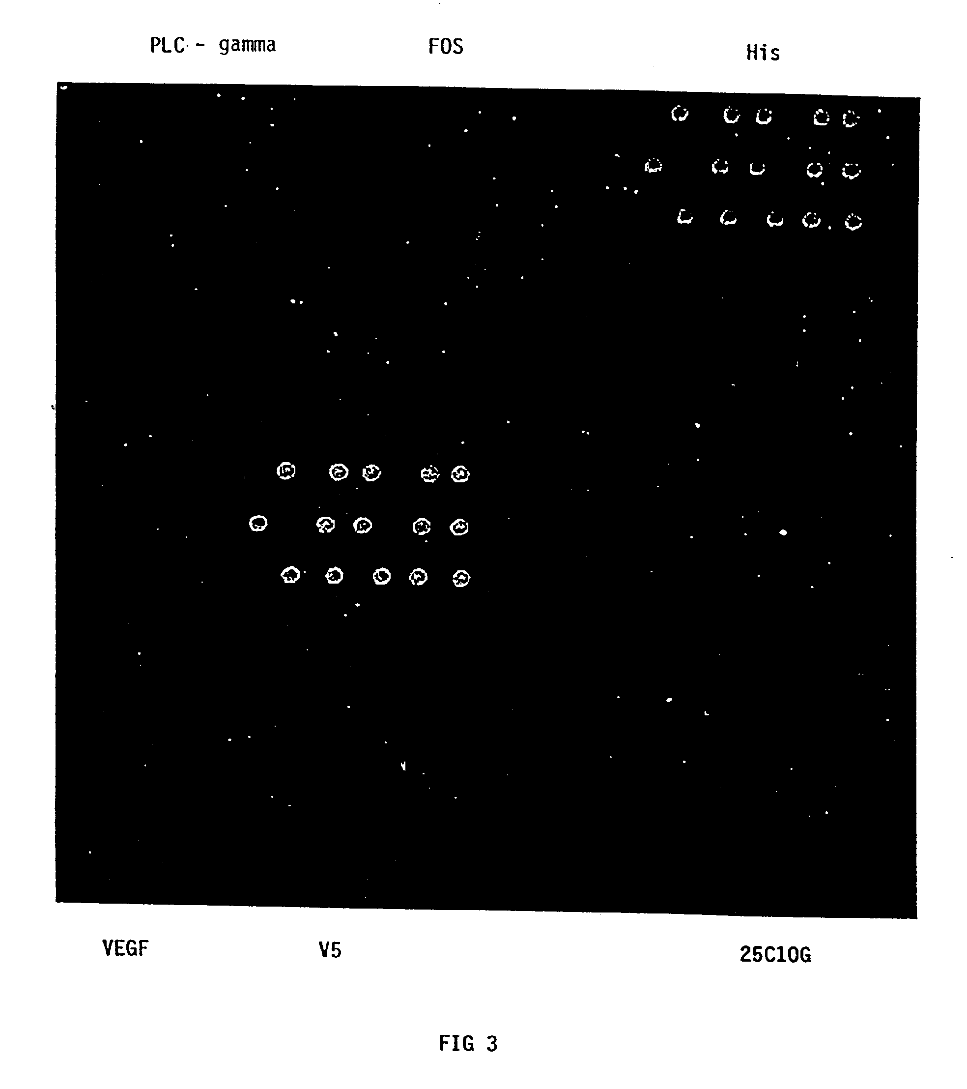 Microarrays and uses therefor