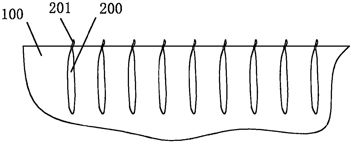 Rhizome crop harvesting method and device