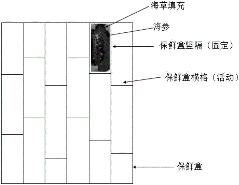 Long-distance transportation method for California red sea cucumbers