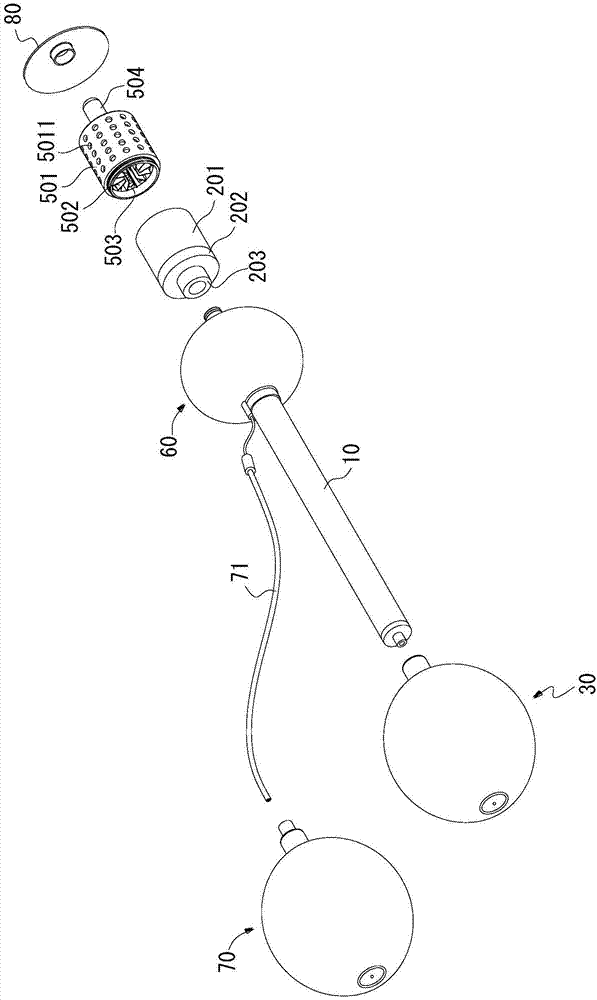 Vaginal Lactobacillus planter