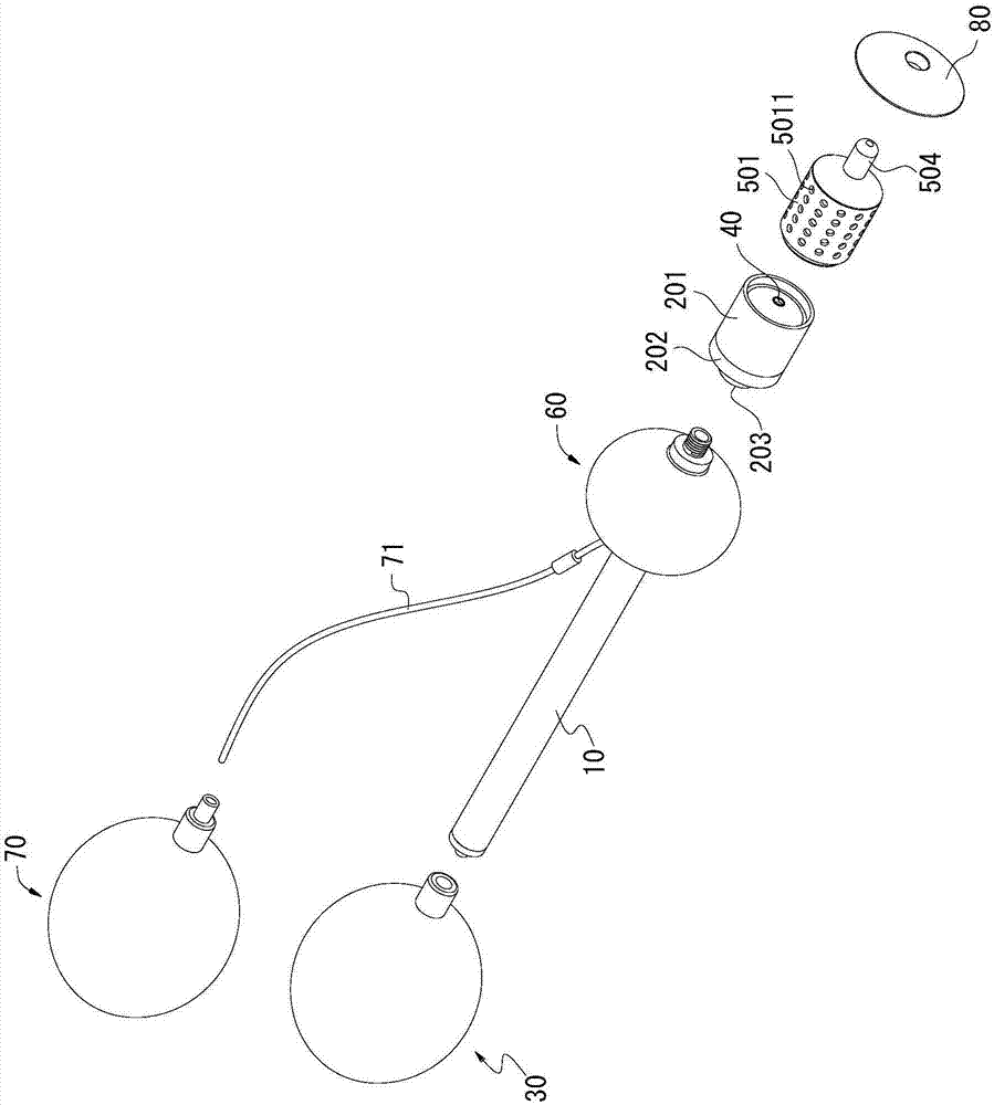 Vaginal Lactobacillus planter