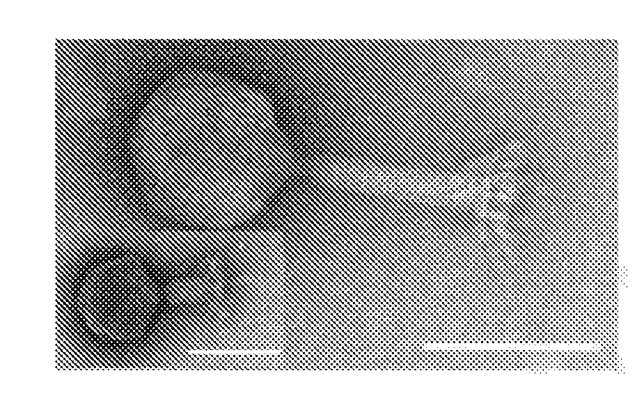 Disinfectant composition comprising phage