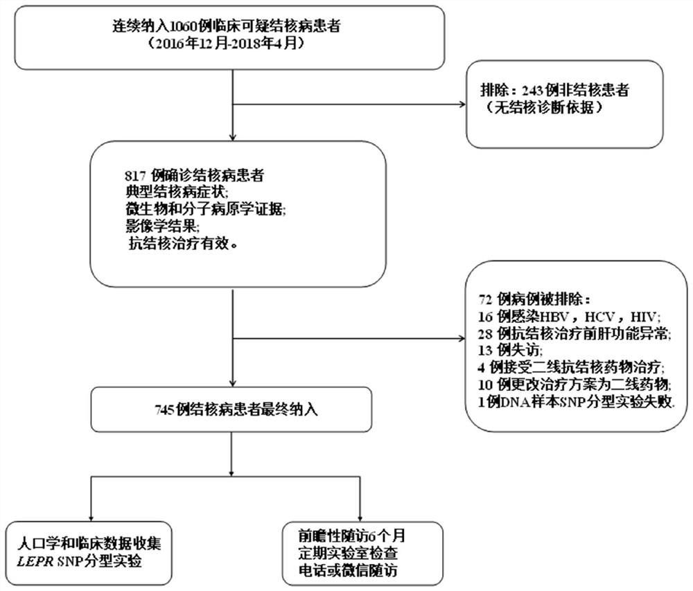 Gene detection reagent for predicting liver injury caused by antituberculous drug, test kit and detection method