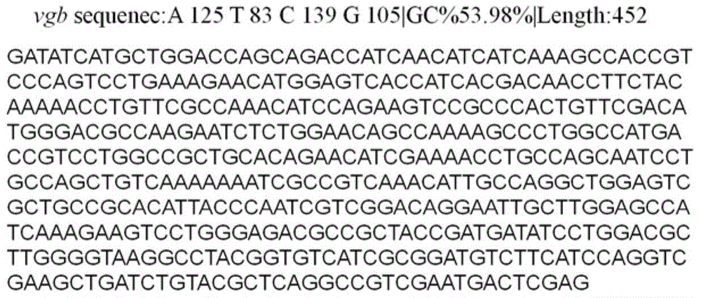 Recombinant Paecilomyces lilacinus strain pnvt8 and its application