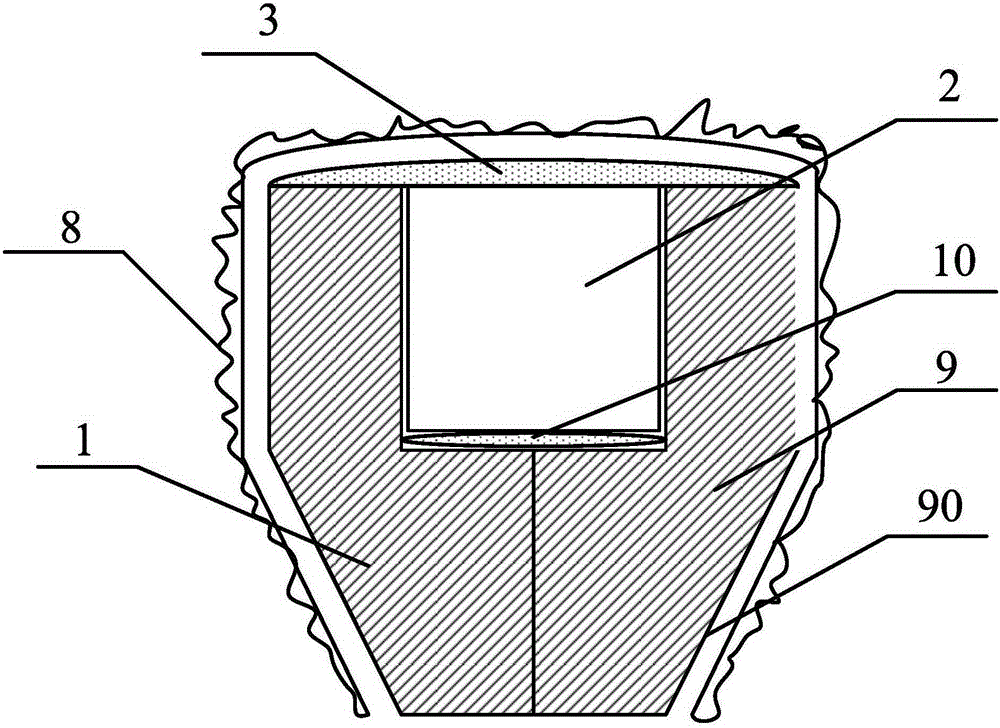 Inlaying source device used for scintillation crystal detector gain automatic control