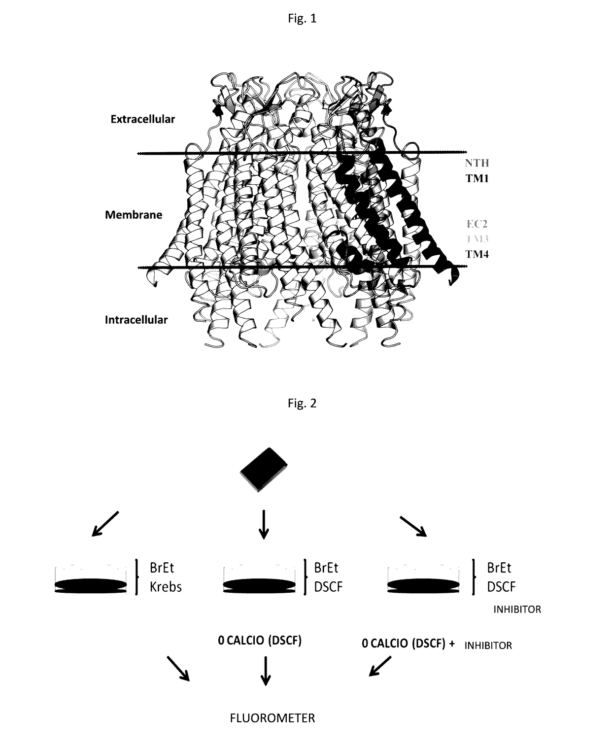 Specific modulators of connexin hemichannels