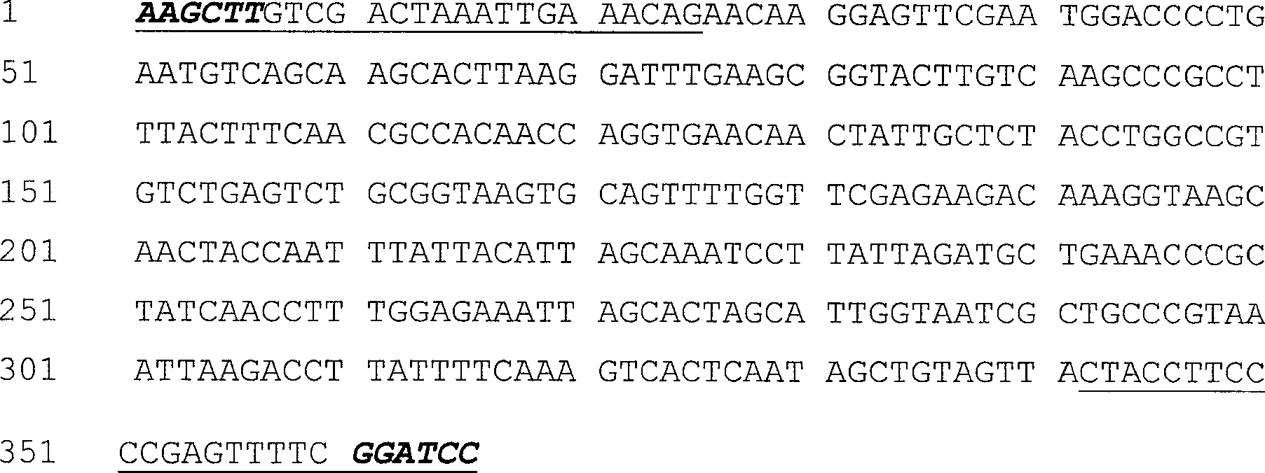 Plant anther specific promoter and its application